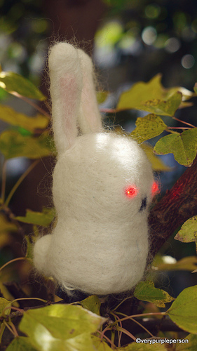 Laser eyed bunny