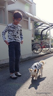 Boy tee and dog hoodie